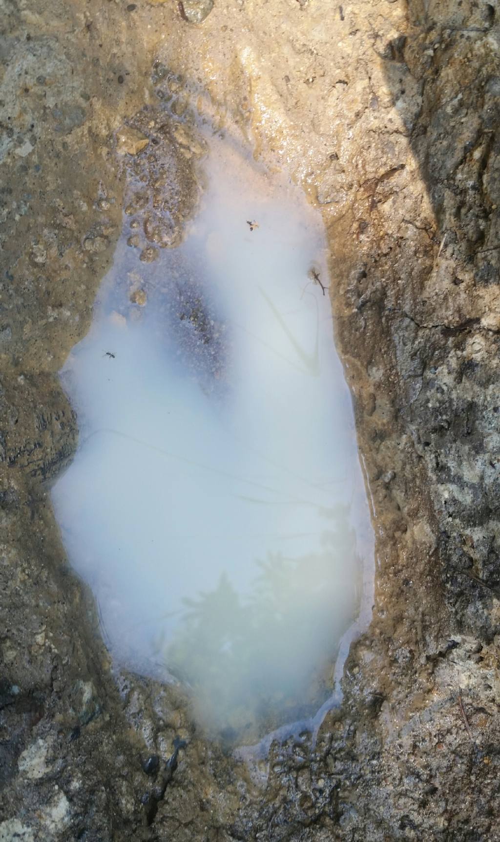 Pozzetta con acqua bianca